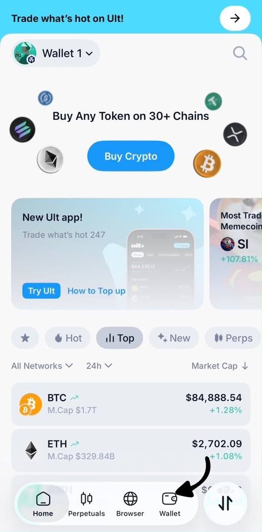 Wallet setup guide 4