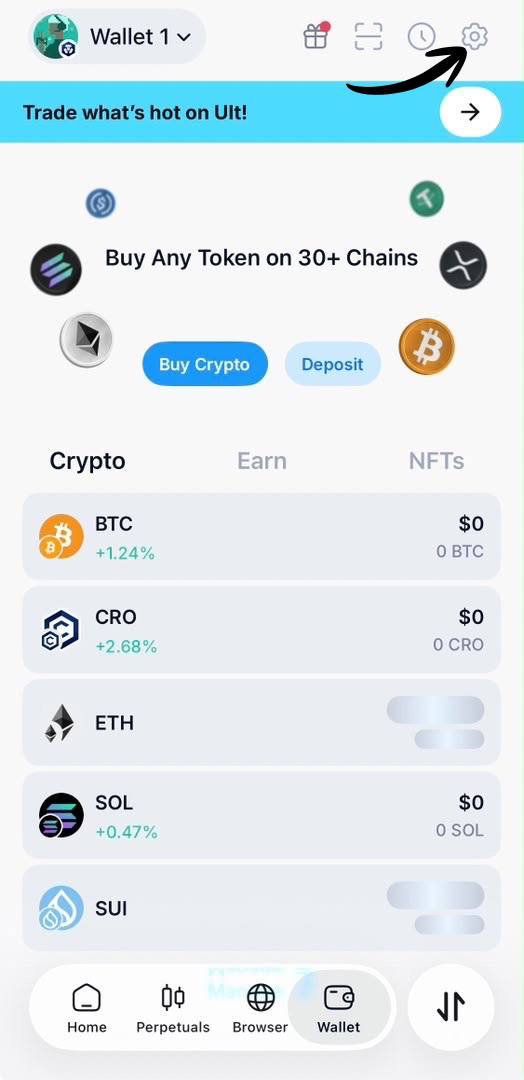 Wallet setup guide 5